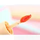 moisturizing lip gloss